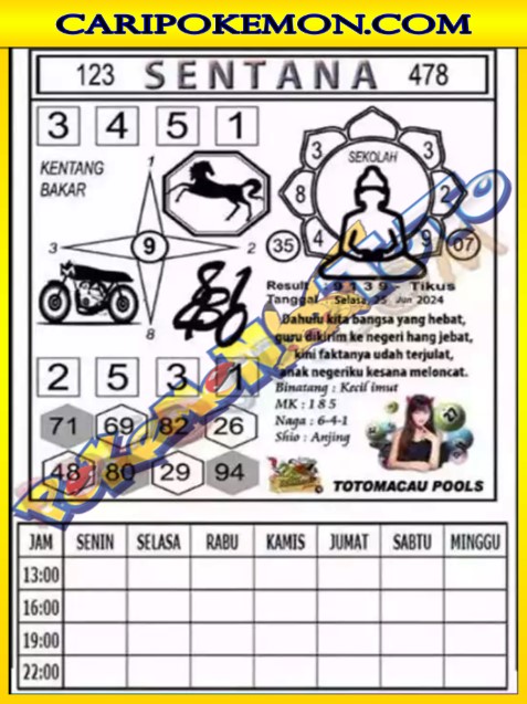 TTM3.jpg