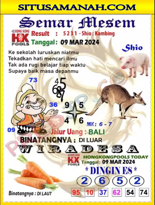 hk3.jpg