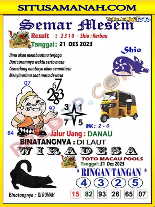 TTM2.jpg
