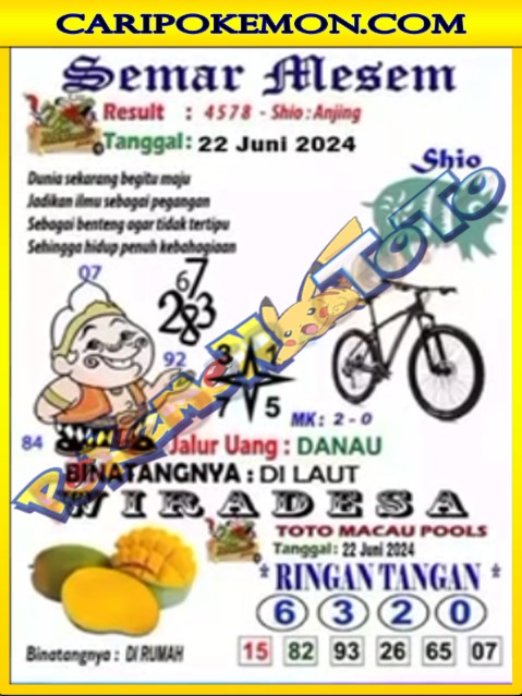 TTM2.jpg