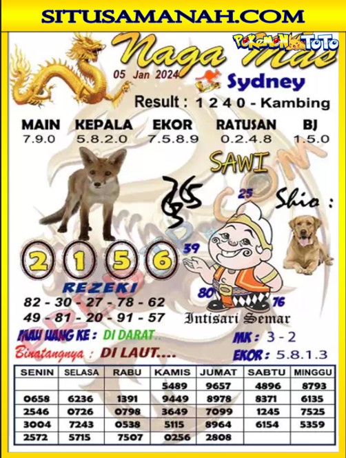 SYD%202.jpg