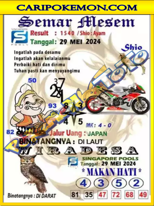 SGP%203.png