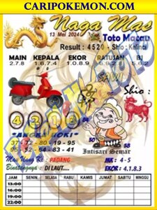 TTM1.jpg