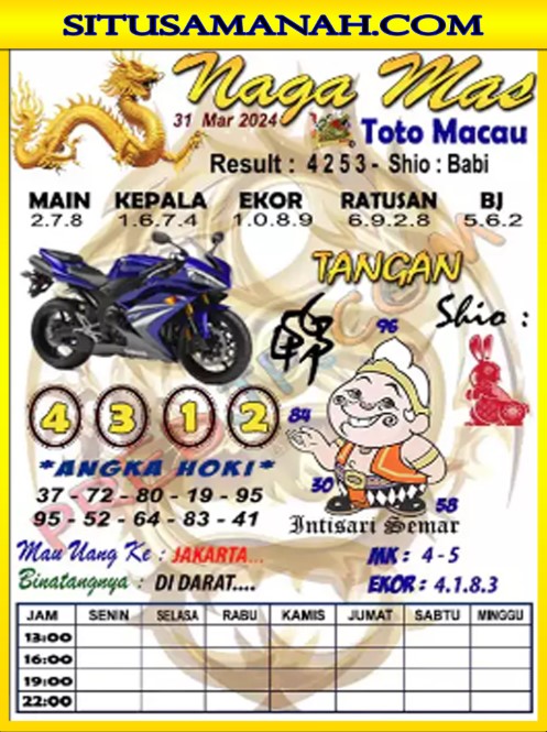 TTM1.jpg