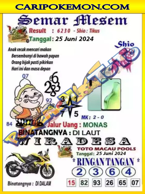 TTM2.jpg