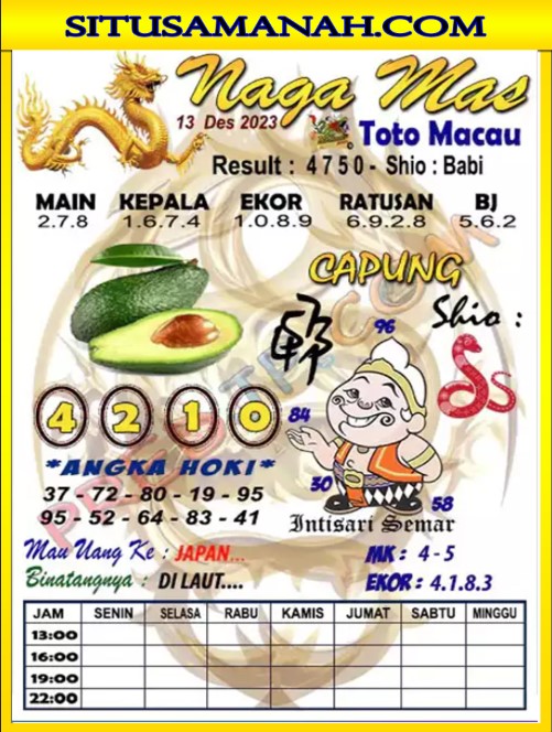 MACAU%201.jpg