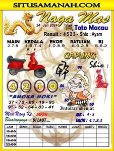 ttm 1.jpg