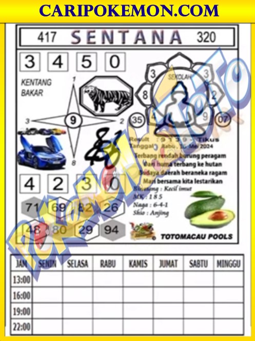 TTM3.jpg