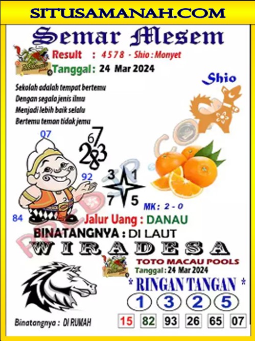 TTM2.jpg