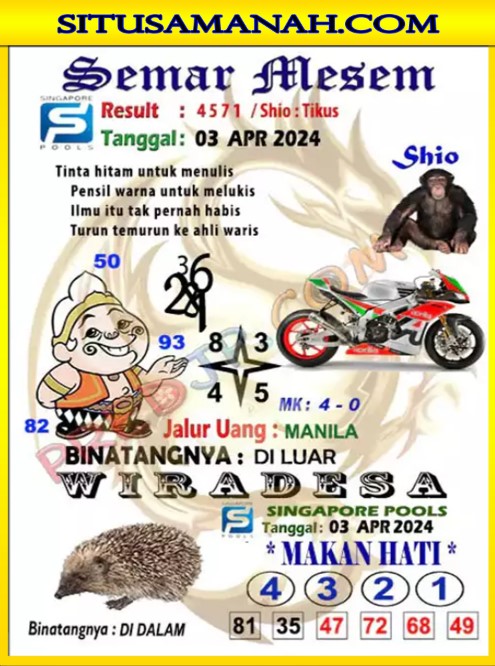 SGP2.jpg