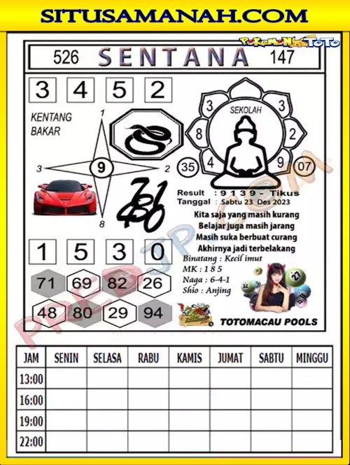 TTM3.jpg