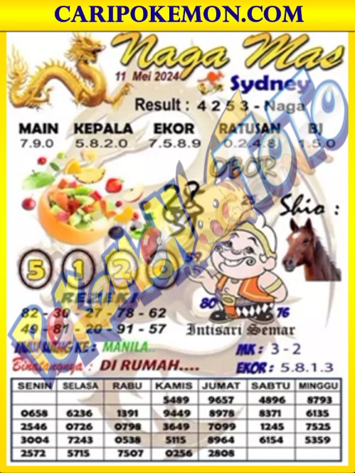 SYD1.jpg