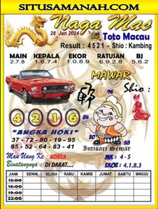ttm 1.jpg