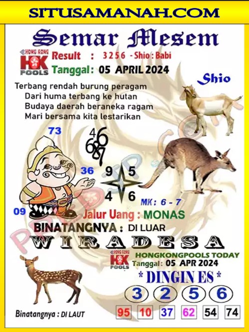HK2.jpg