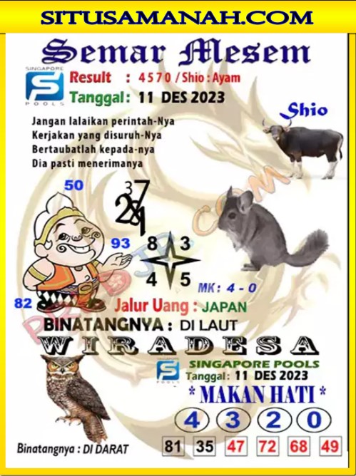 SGP%203.jpg