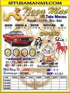 ttm 1.jpg