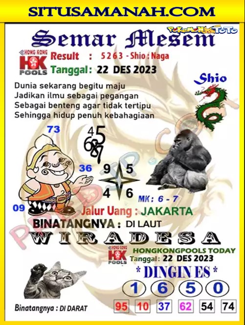 HK2.jpg