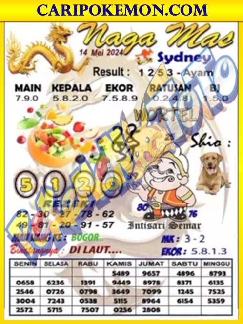 SYD1.jpg