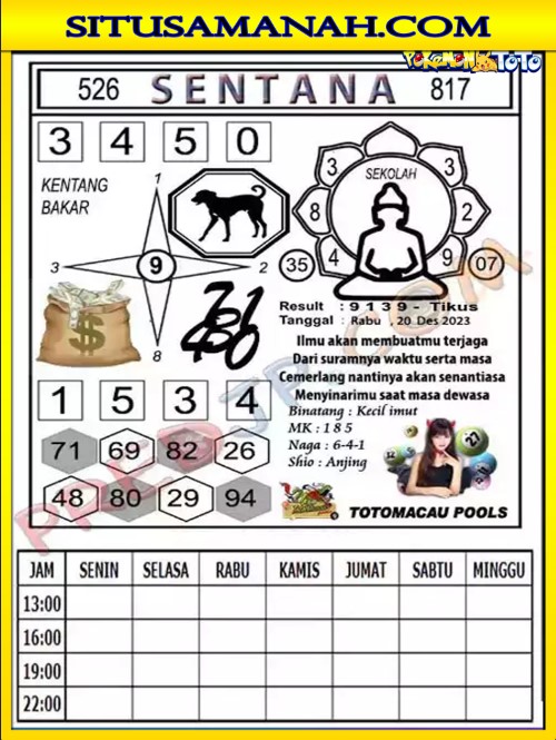 TTM3.jpg