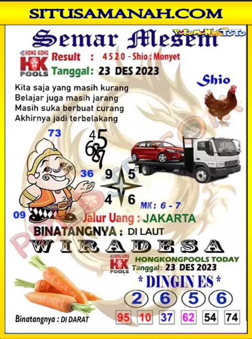 HK2.jpg