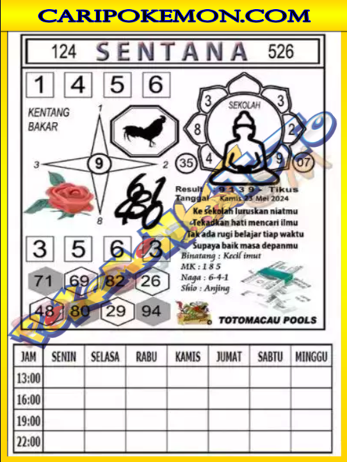 ttm3.png