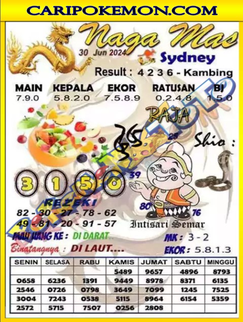 SYD1.jpg