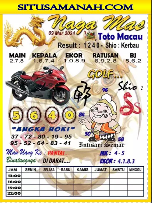 ttm1.jpg