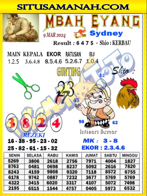 sdy1.jpg