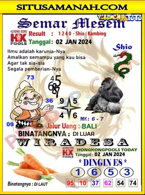 HK2.jpg