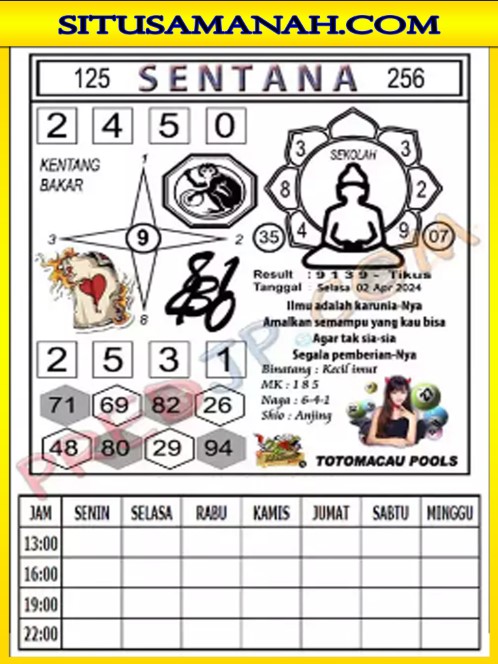 TTM3.jpg