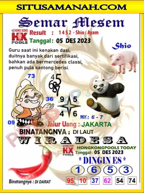 HK%205%20DES%202.jpg