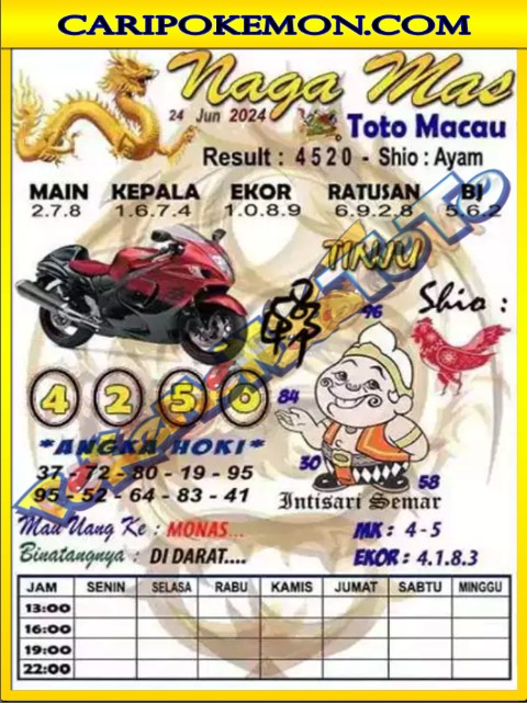 TTM1.jpg