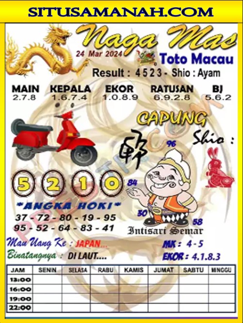 TTM1.jpg