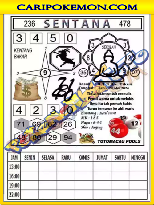 TTM%204.png