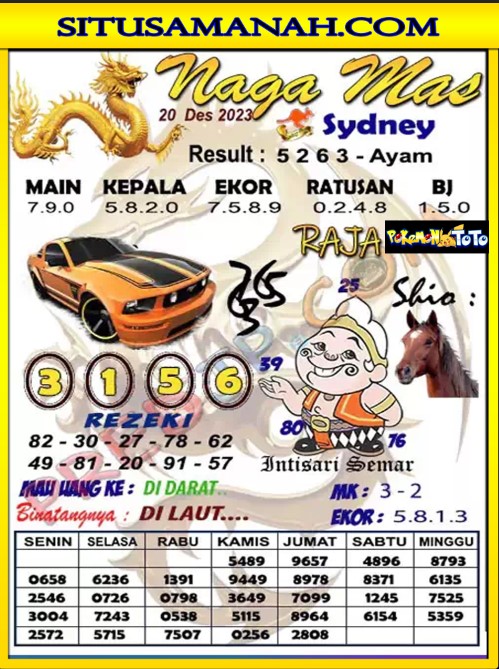 syd1.jpg
