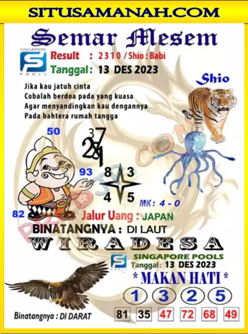 SGP%203.jpg