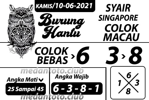 SYAIR%20BURUNG%20HANTU%20SINGAPORE.jpg