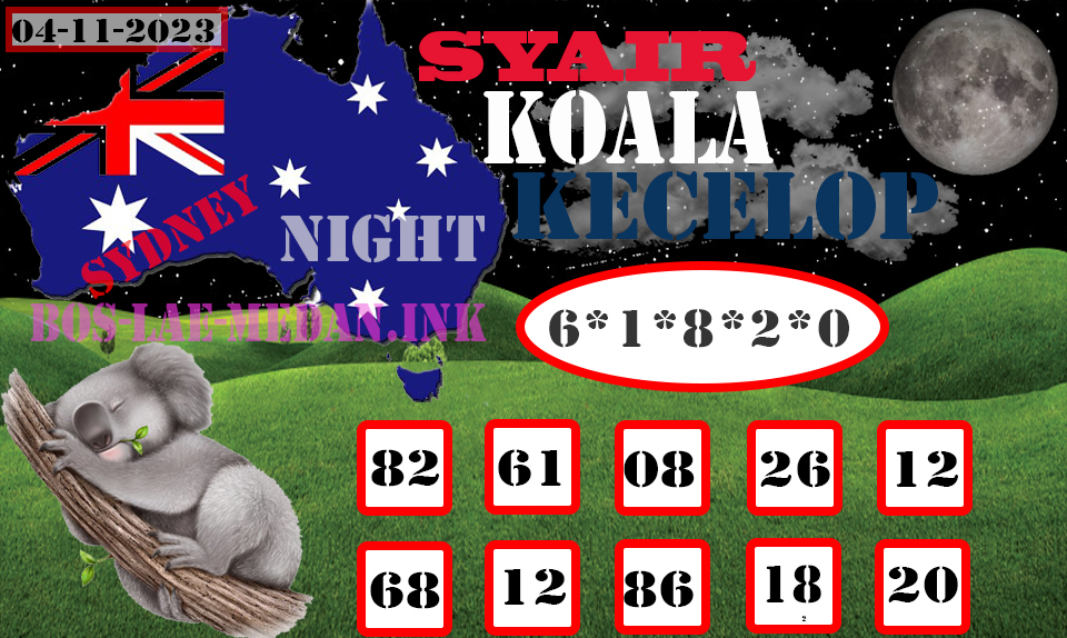 SYAIR%20KOALA%20KECELOP04.jpg