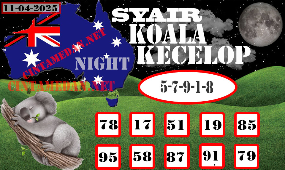 SYAIR%20KOALA.jpg