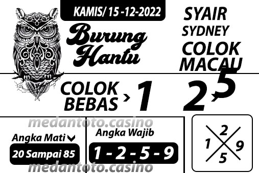 Syair%20burung%20hantu.jpg