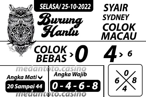 Syair%20burung%20hantu.jpg