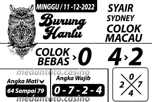 Syair%20burung%20hantu%20sedney.jpg