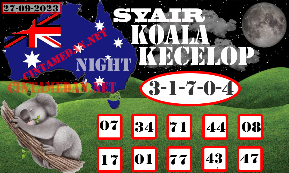 SYAIR%20KOALA%20KECELOP27.jpg