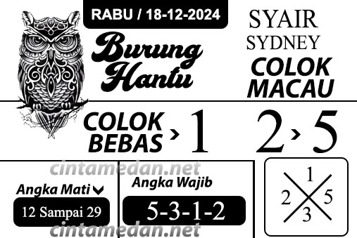 Syair%20burung%20hantu%20-%20SYD.jpg