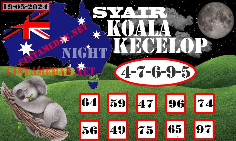 SYAIR%20KOALA%20KECELOP-Recovered-Recovered.jpg