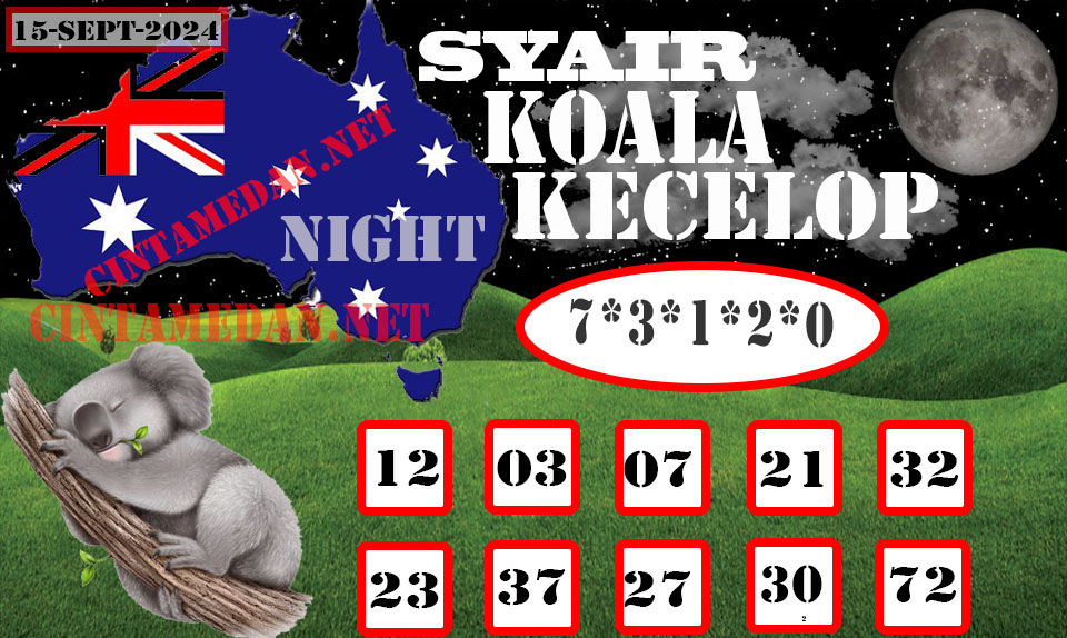 SYAIR%20KOALA%20KECELOP15.jpg