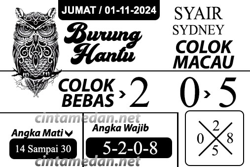 Syair%20burung%20hantu-%20SYD.jpg