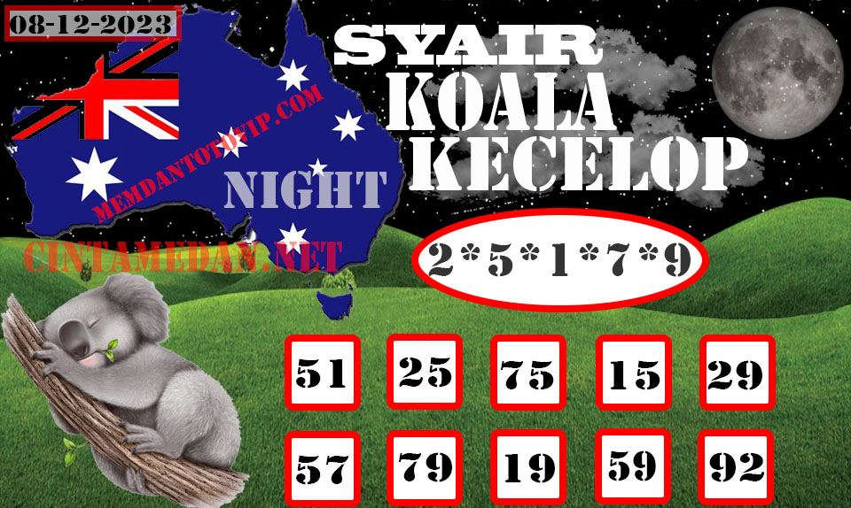 SYAIR%20KOALA%20KECELOP08%281%29.jpg