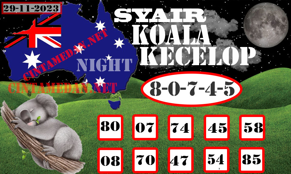 SYAIR%20KOALA%20KECELOP-NEW.jpg