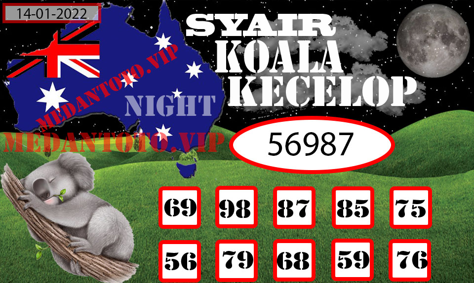 SYAIR%20KOALA%20KECELOP.jpg